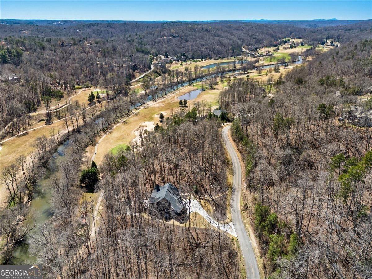 448 Golden Bear Pass Dahlonega - Photo 103