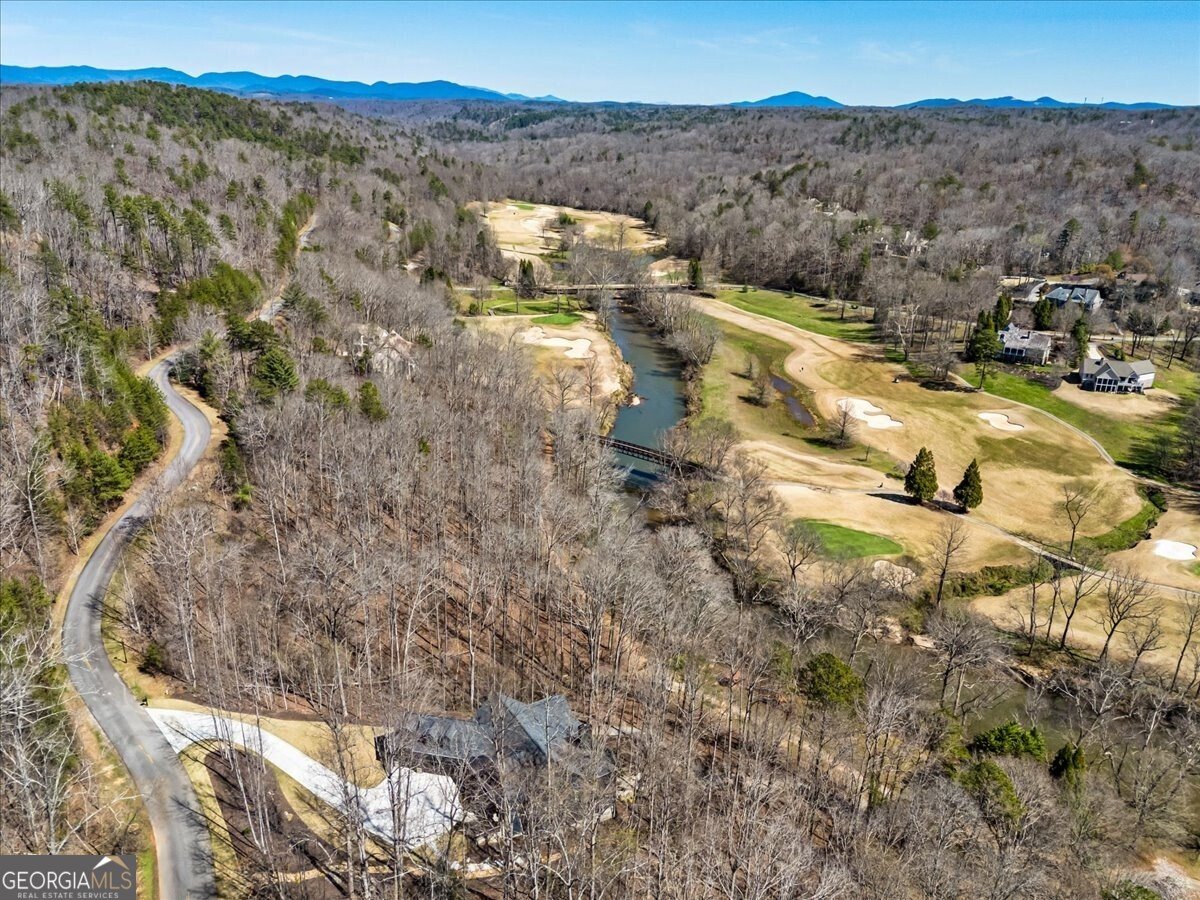 448 Golden Bear Pass Dahlonega - Photo 105
