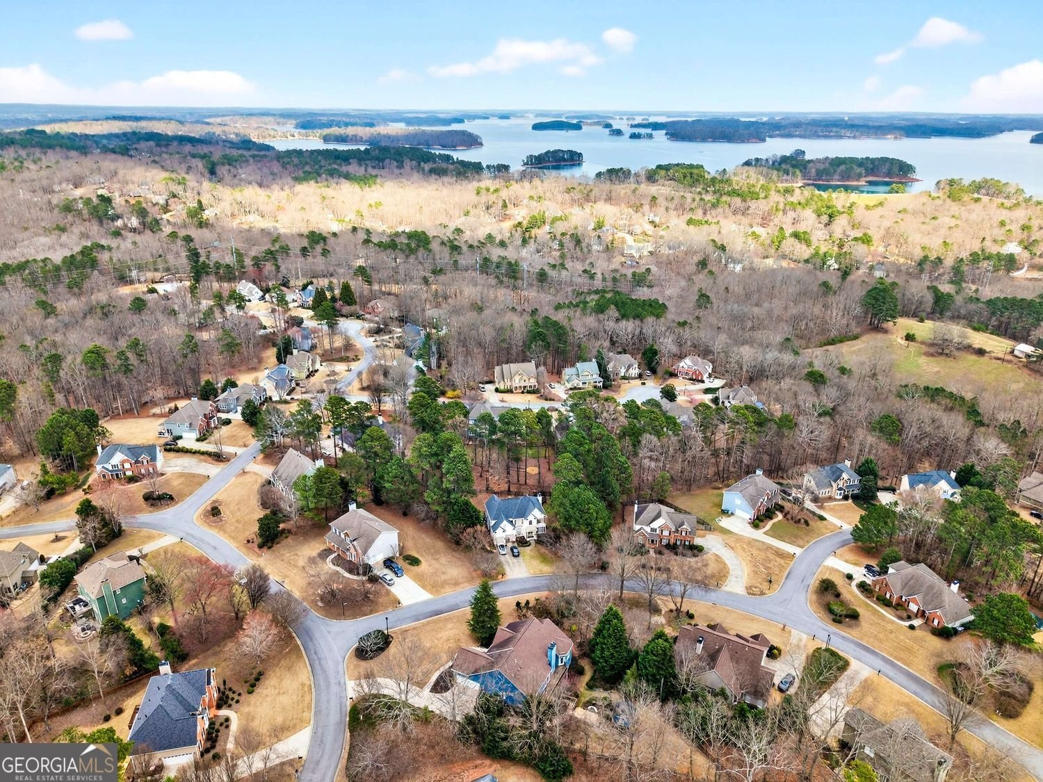 2920 Princeton Trace Cumming - Photo 52