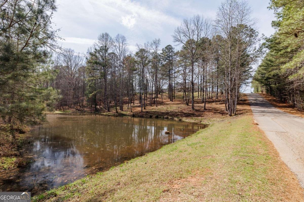 12 Blackthorn Road Colbert - Photo 60