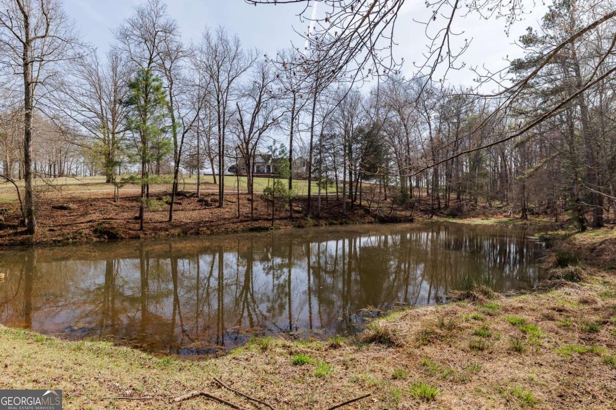 12 Blackthorn Road Colbert - Photo 61