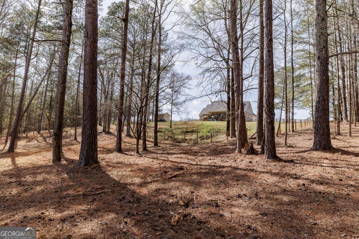 12 Blackthorn Road Colbert - Photo 62