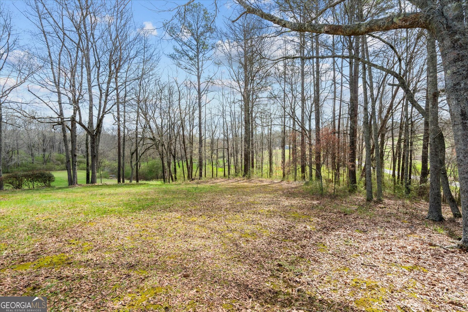 1789 County Road 16 Raonoke - Photo 46