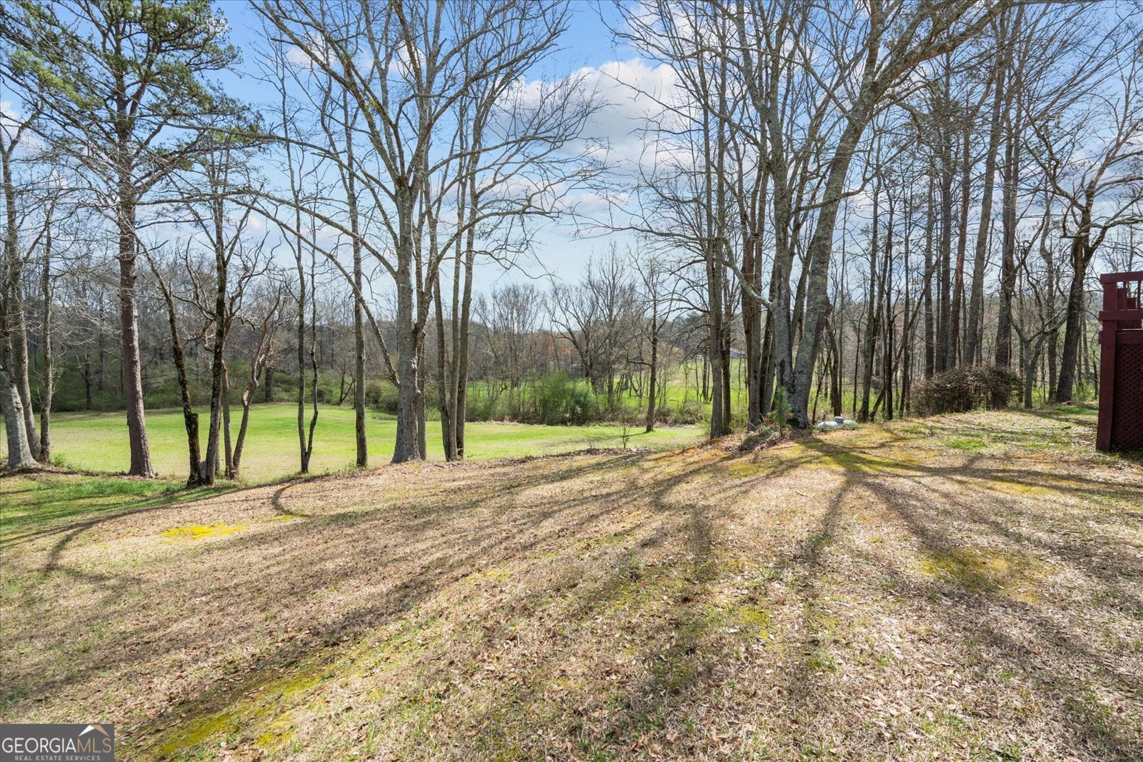 1789 County Road 16 Raonoke - Photo 48