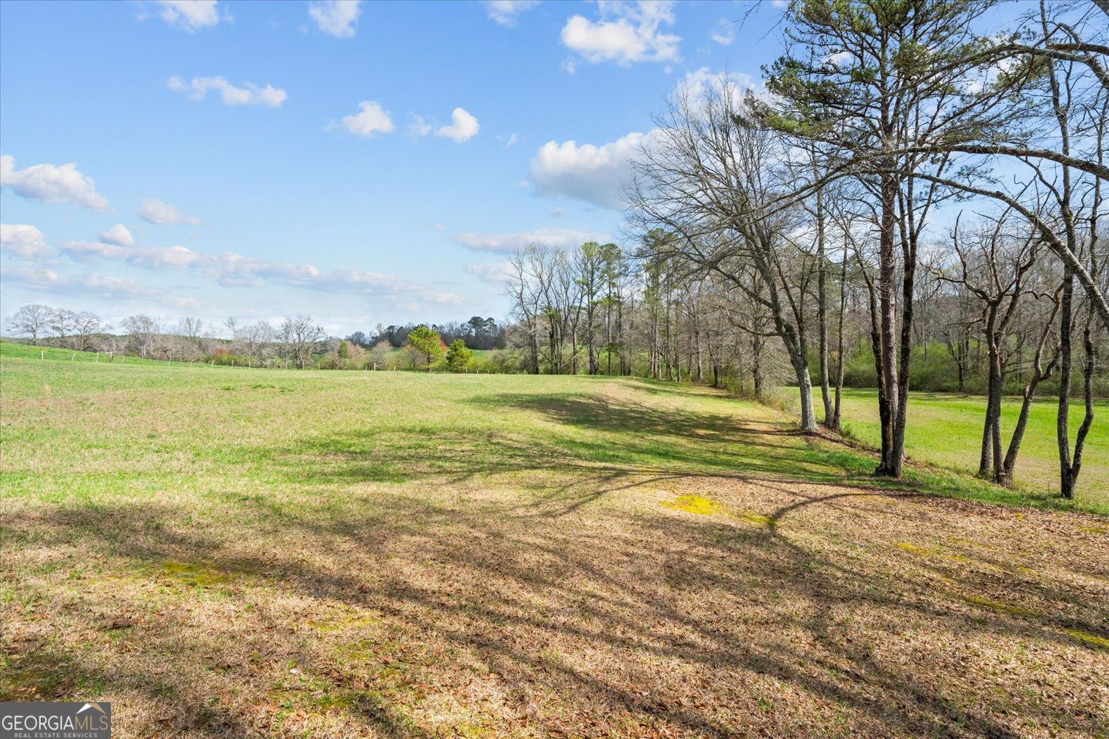 1789 County Road 16 Raonoke - Photo 49