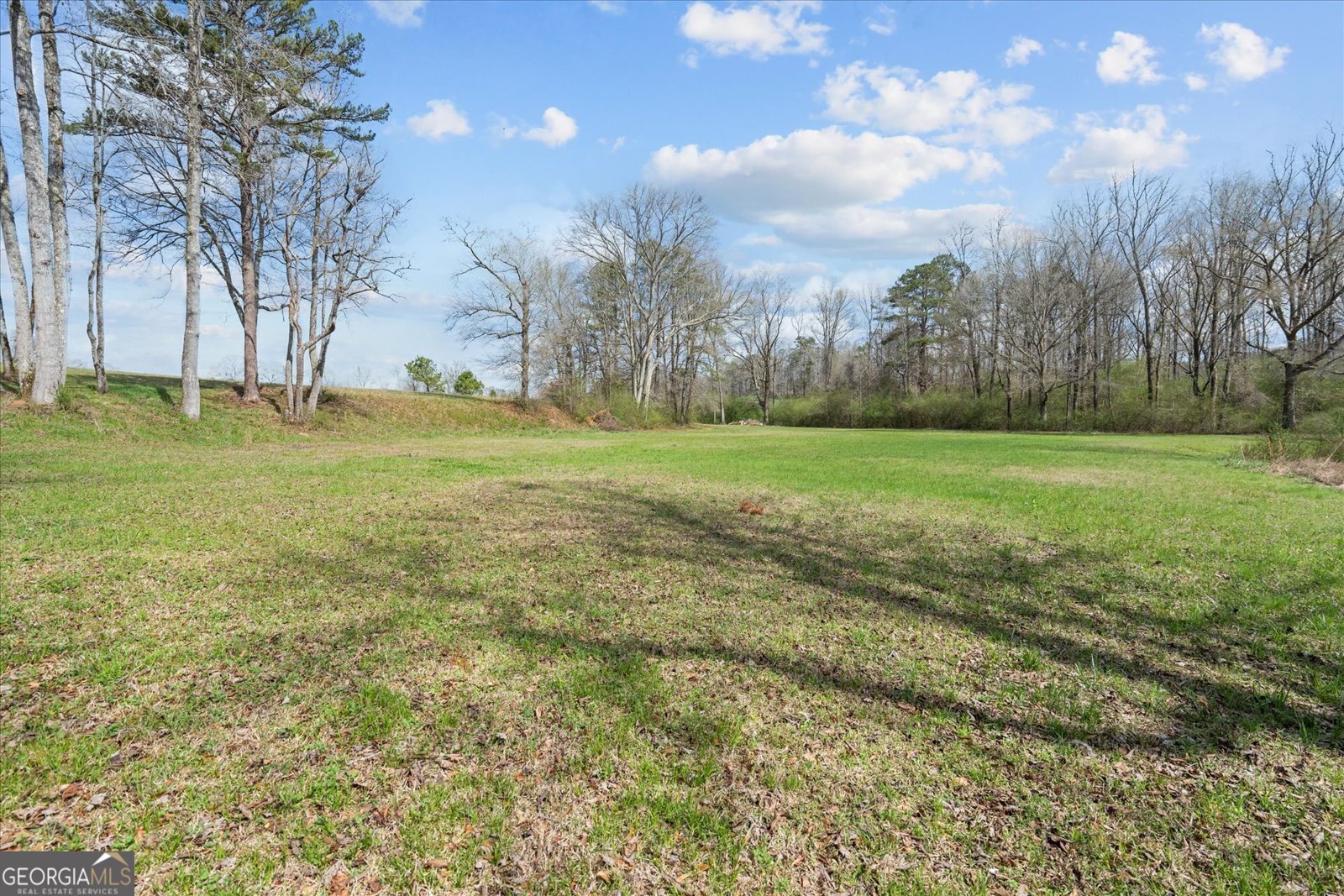 1789 County Road 16 Raonoke - Photo 50