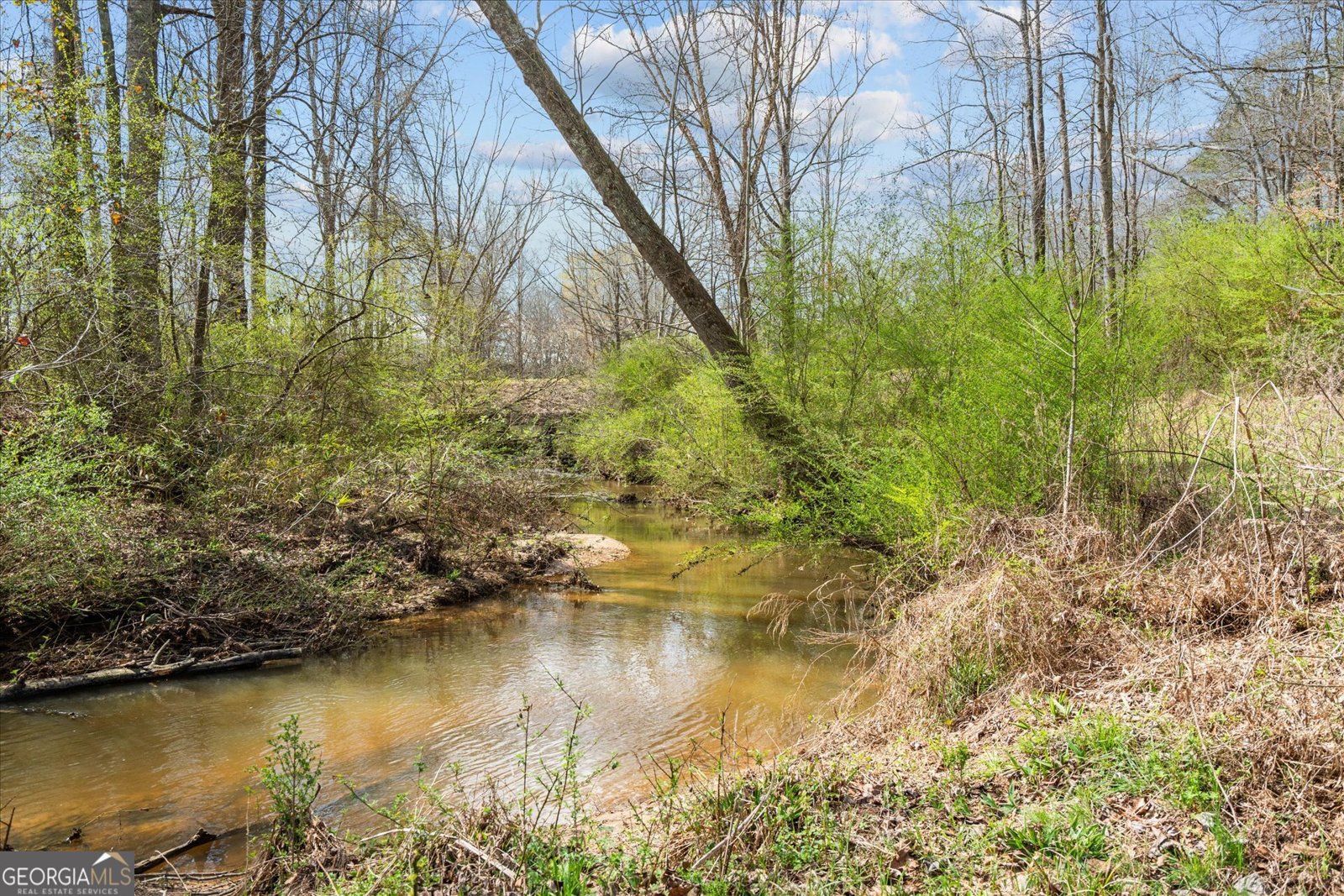 1789 County Road 16 Raonoke - Photo 52