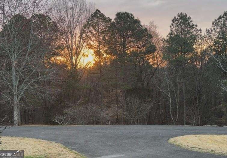 1959 Miller Ferry Road Calhoun - Photo 39