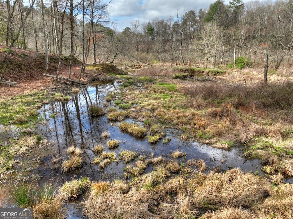 4081 Whitepath Road Ellijay - Photo 10