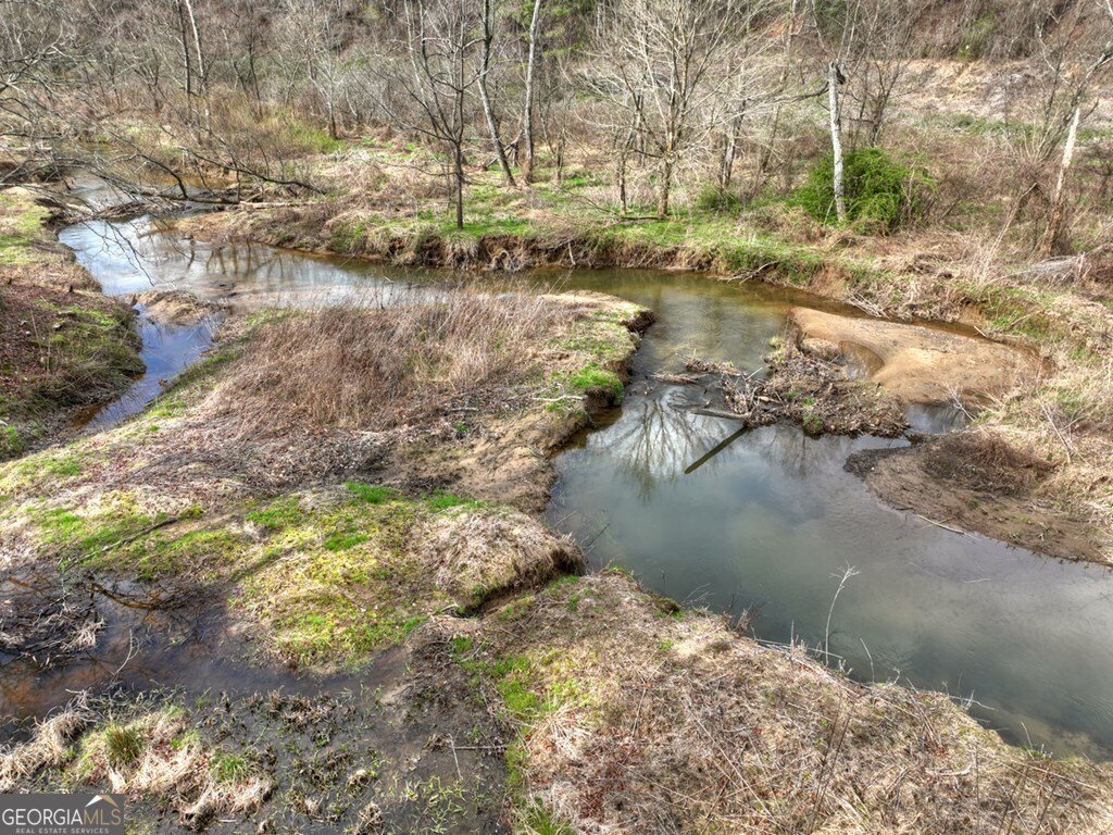 4081 Whitepath Road Ellijay - Photo 12