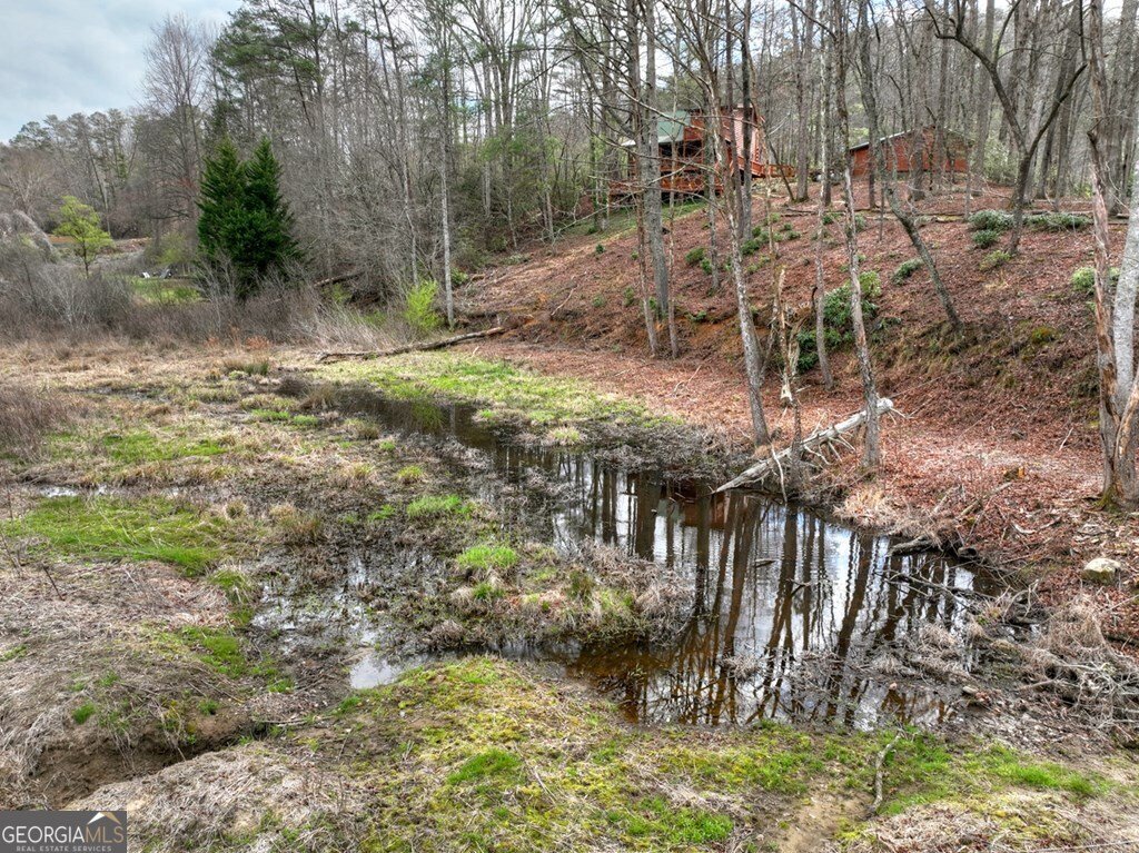 4081 Whitepath Road Ellijay - Photo 13