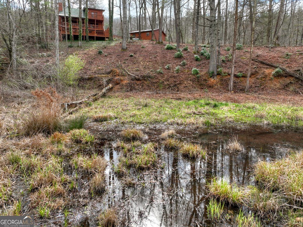 4081 Whitepath Road Ellijay - Photo 15