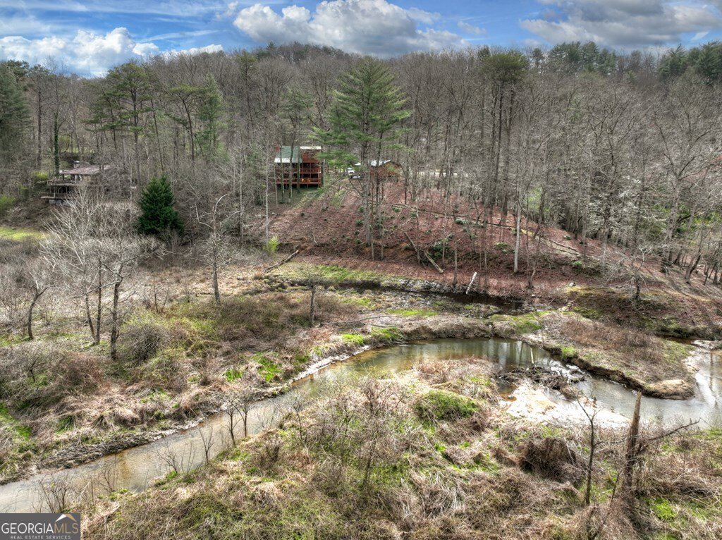 4081 Whitepath Road Ellijay - Photo 16