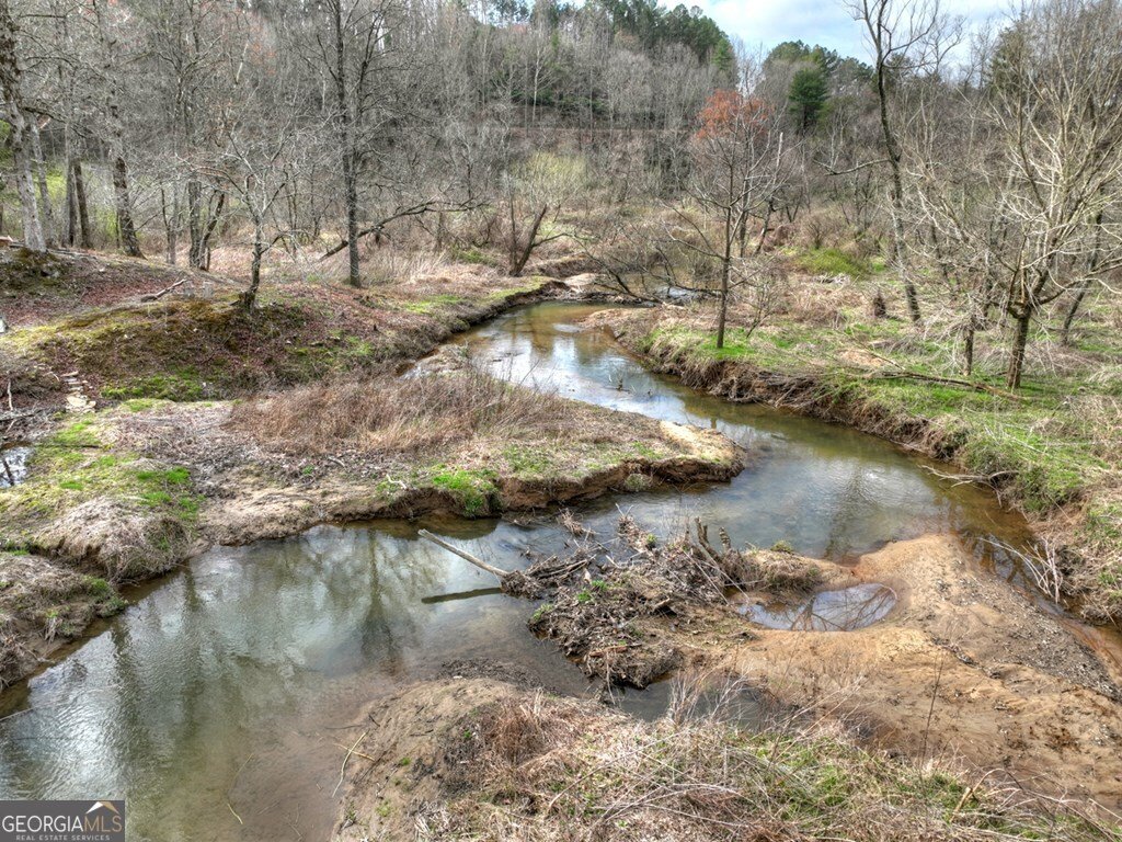 4081 Whitepath Road Ellijay - Photo 17