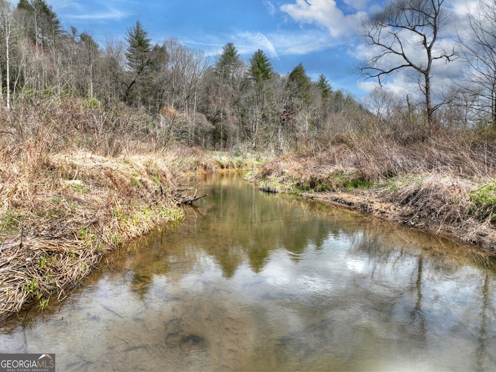 4081 Whitepath Road Ellijay - Photo 18