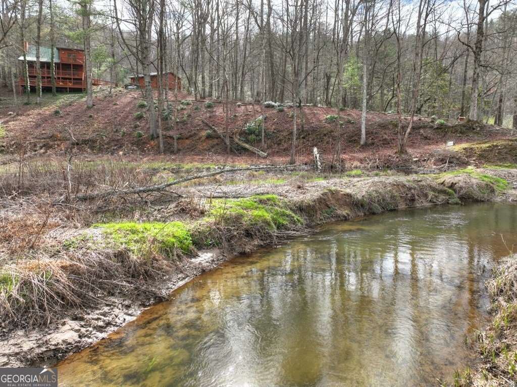 4081 Whitepath Road Ellijay - Photo 19