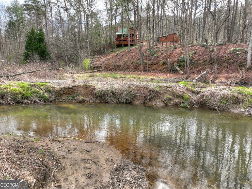 4081 Whitepath Road Ellijay - Photo 20