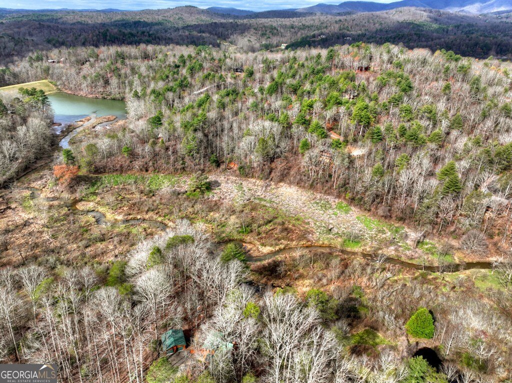 4081 Whitepath Road Ellijay - Photo 28
