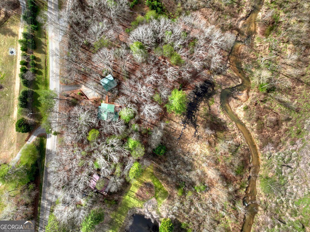 4081 Whitepath Road Ellijay - Photo 29