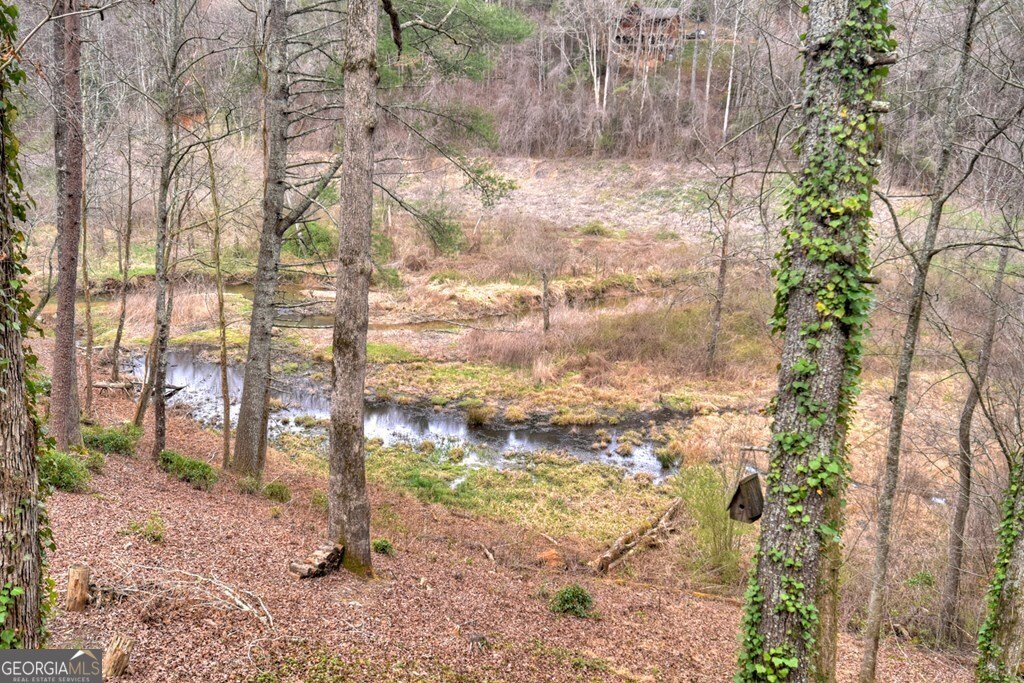 4081 Whitepath Road Ellijay - Photo 34