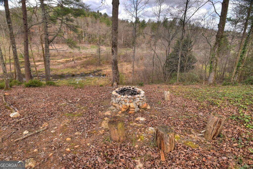 4081 Whitepath Road Ellijay - Photo 69