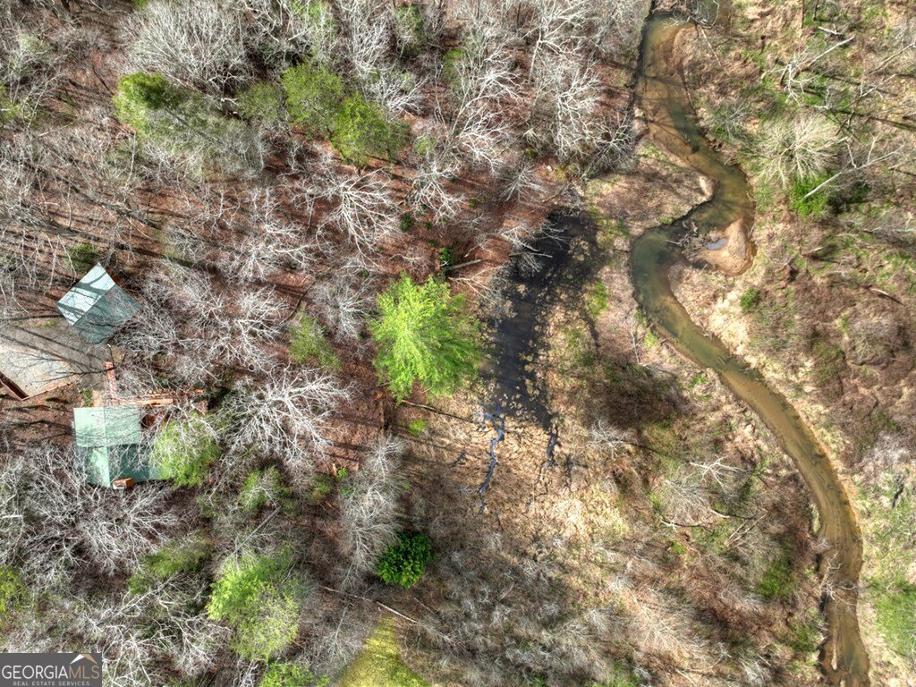 4081 Whitepath Road Ellijay - Photo 70