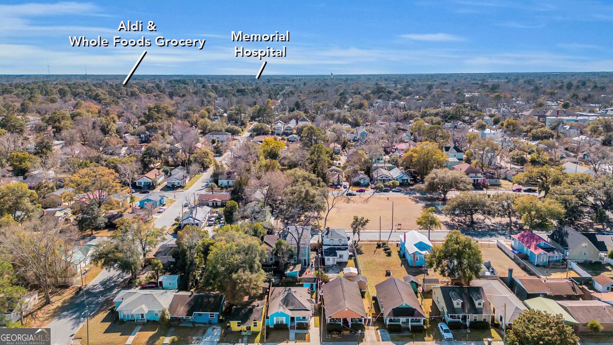 1223 Waldburg Street Savannah - Photo 40