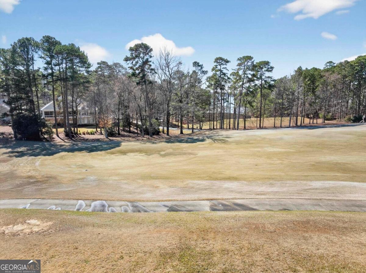 1061 Kimbrough Hill Drive Greensboro - Photo 65