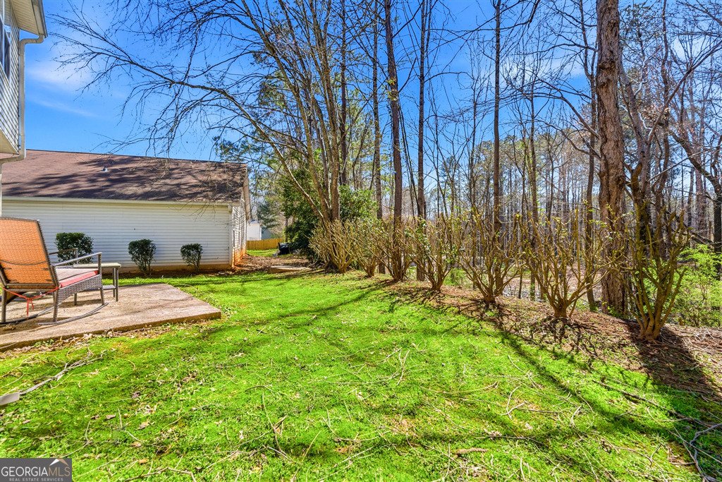 4237 Chestnut Lake Avenue Lithonia - Photo 19