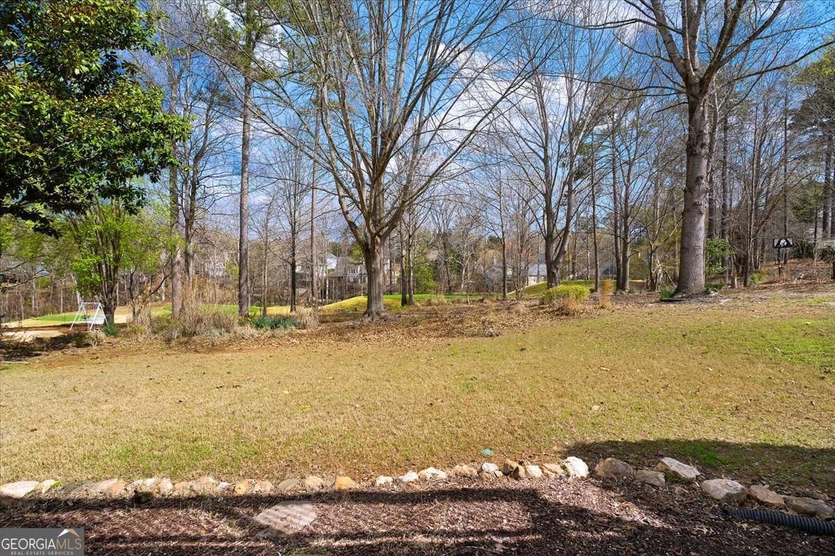 508 Chestnut Walk Canton - Photo 34