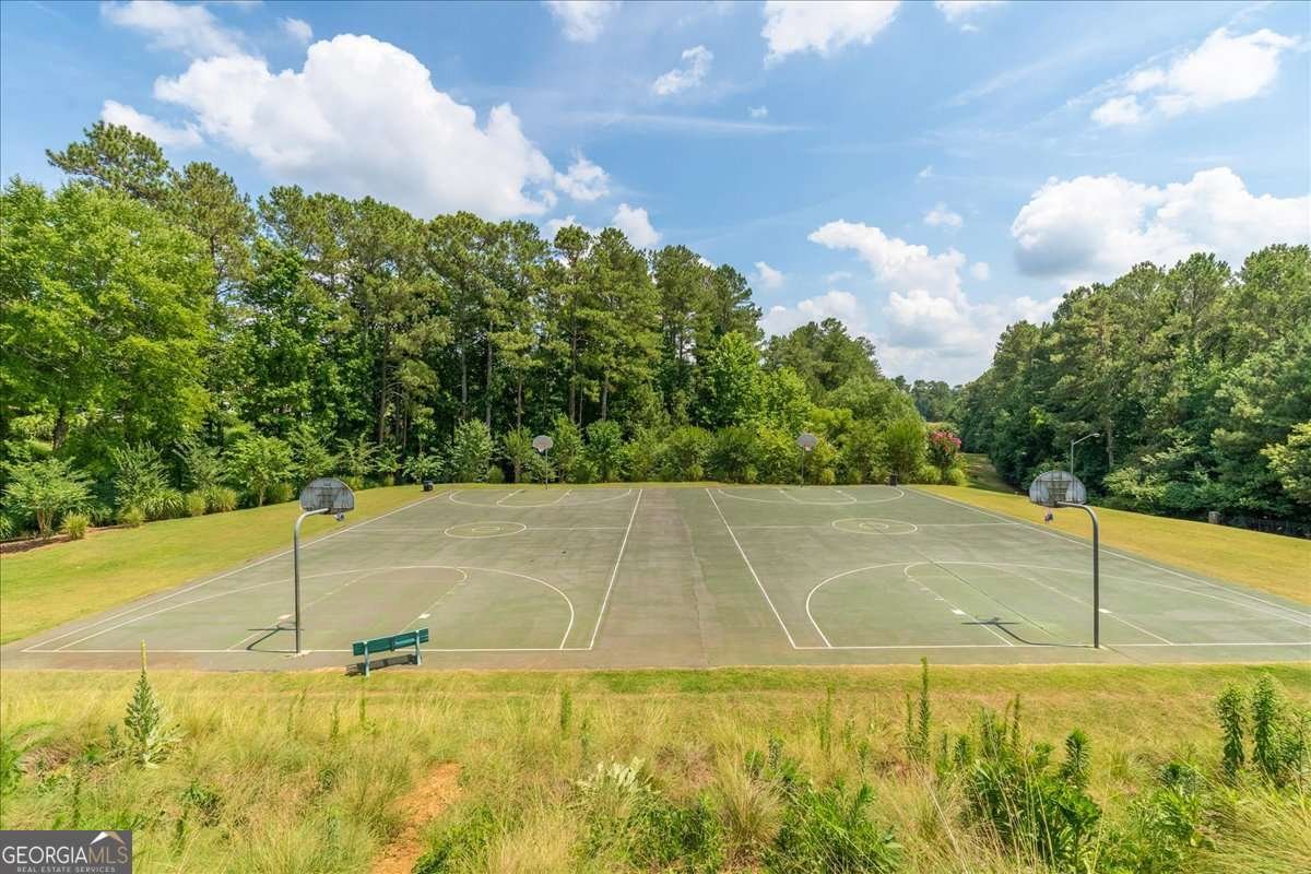 508 Chestnut Walk Canton - Photo 43