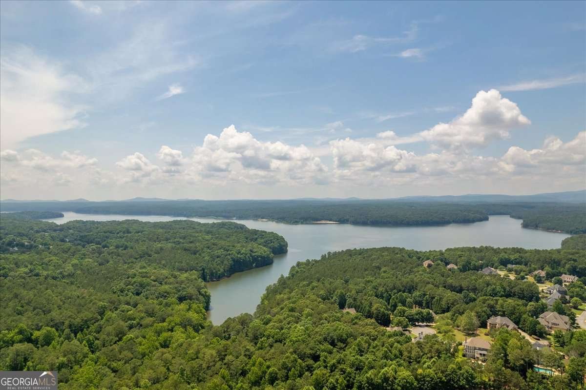 508 Chestnut Walk Canton - Photo 51