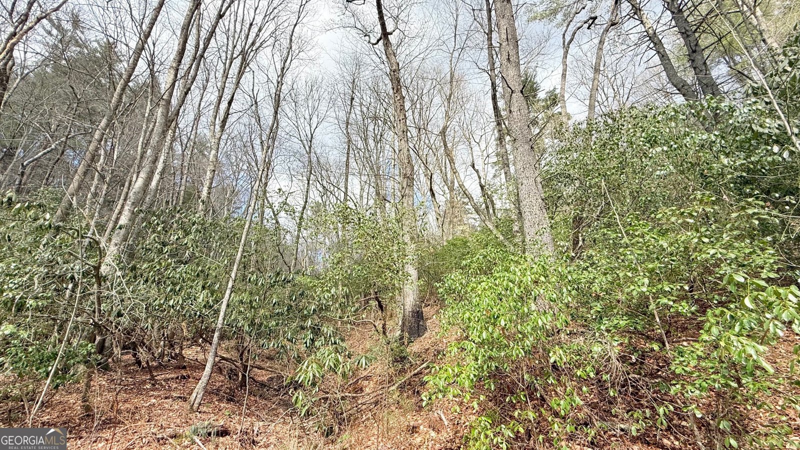 8072 Doublehead Gap Road Blue Ridge - Photo 22
