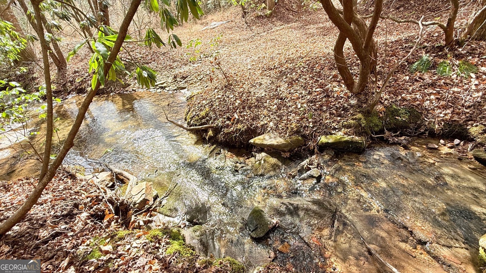 8072 Doublehead Gap Road Blue Ridge - Photo 23