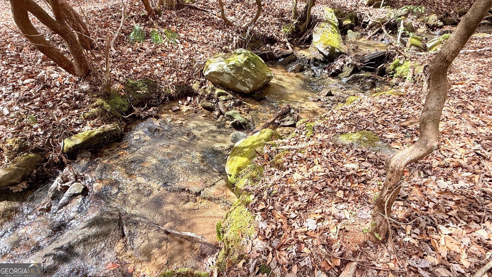 8072 Doublehead Gap Road Blue Ridge - Photo 24