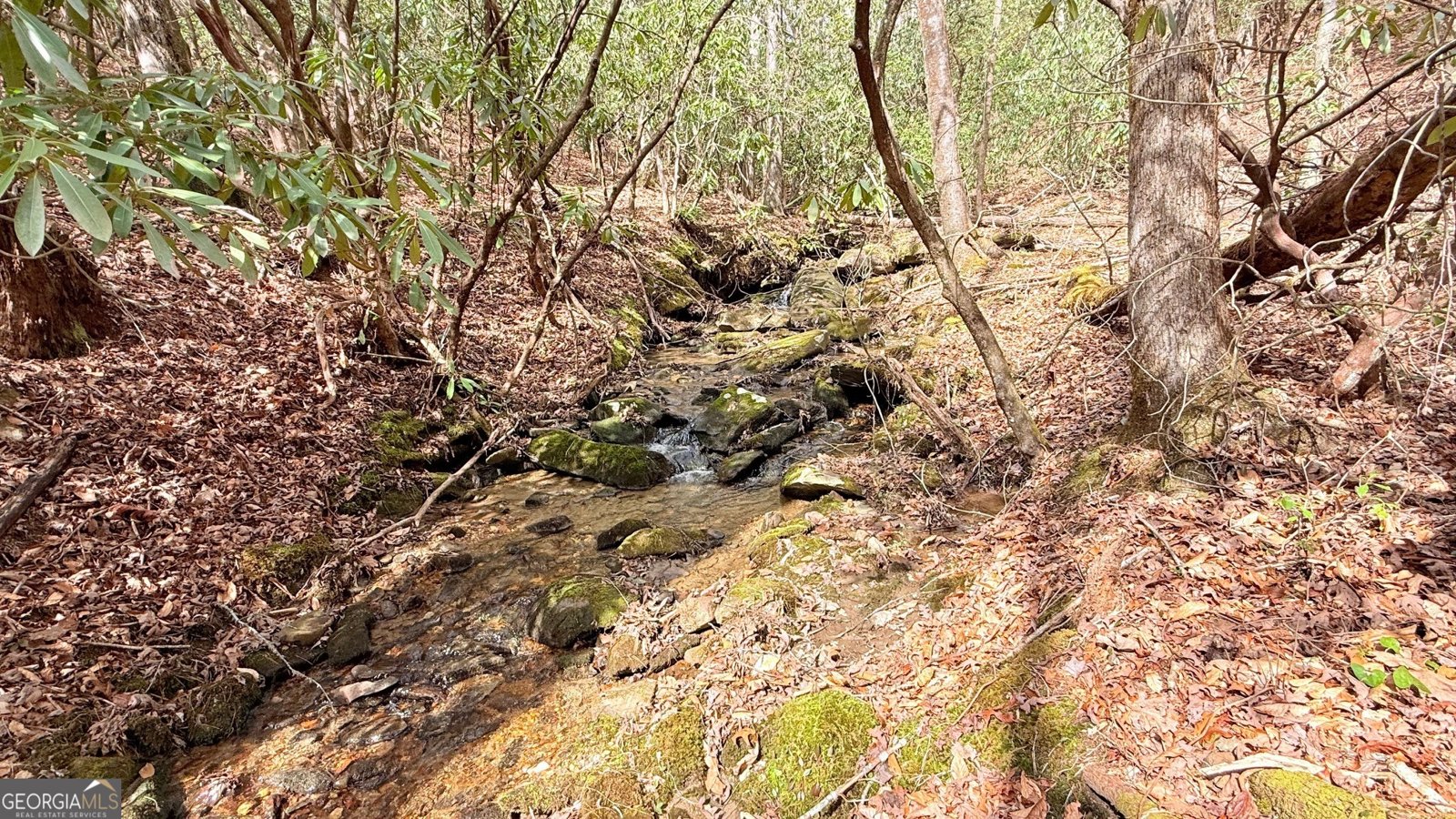 8072 Doublehead Gap Road Blue Ridge - Photo 25