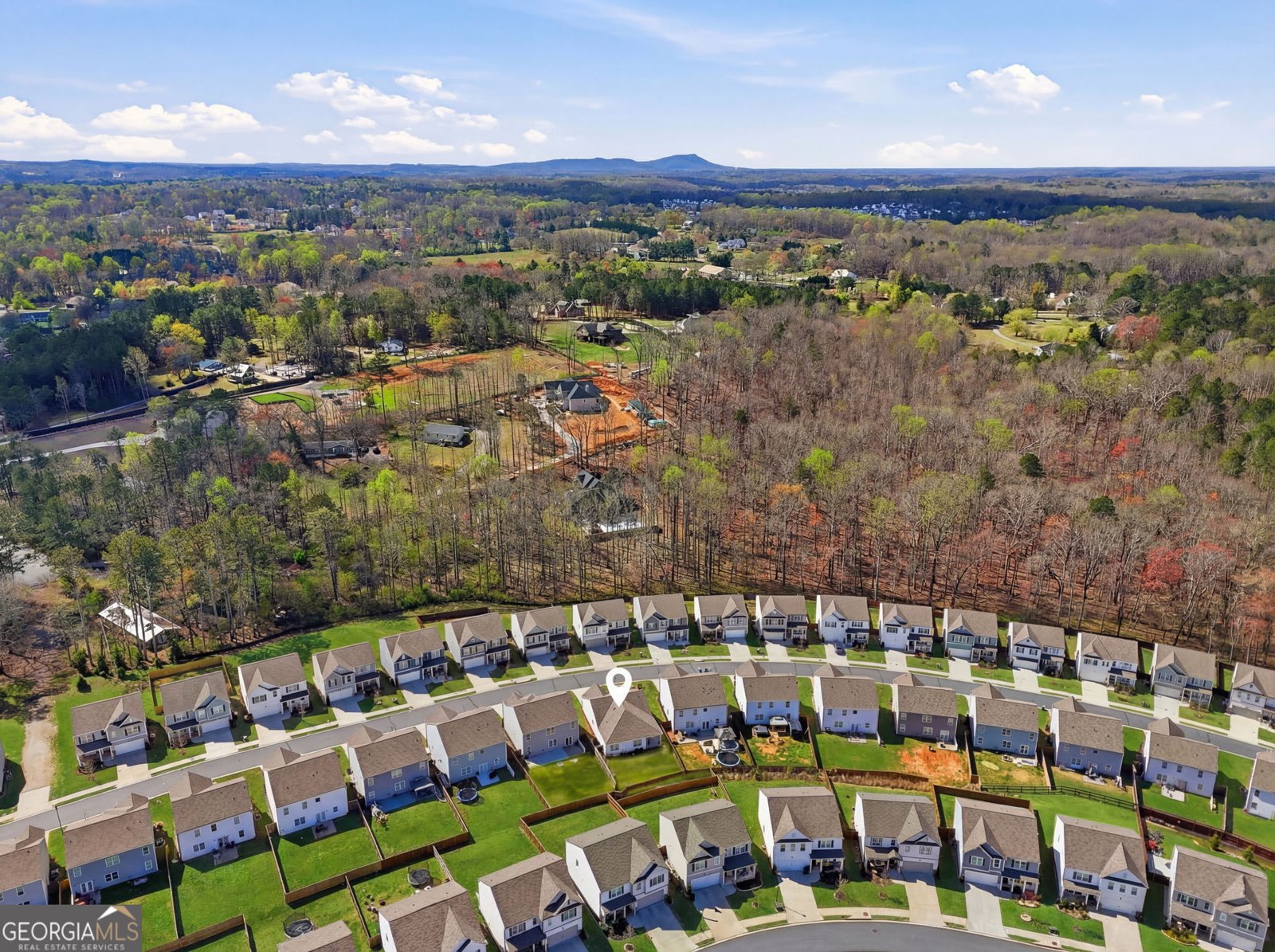 466 Quail Pass Dawsonville - Photo 39