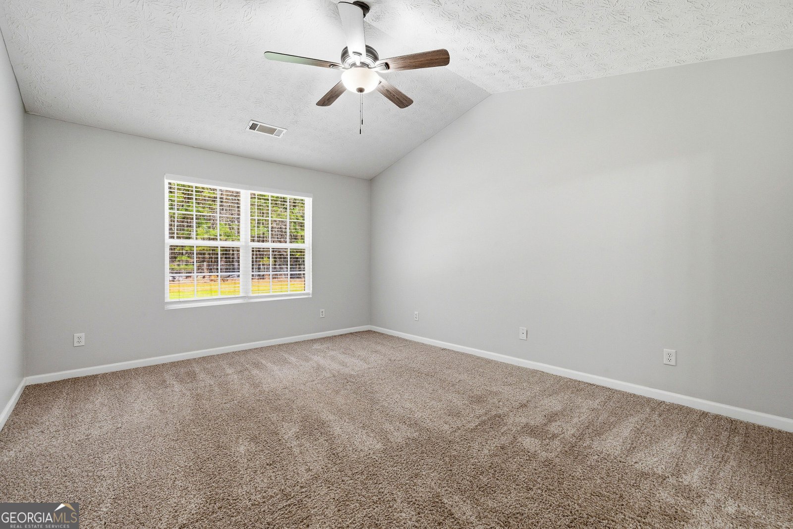 206 Rockhouse Road Senoia - Photo 15