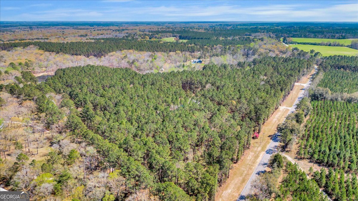 5200 Old River Road Brooklet - Photo 47