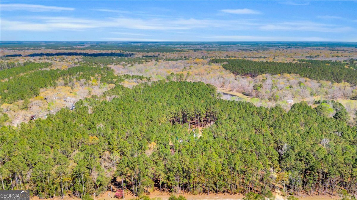 5200 Old River Road Brooklet - Photo 48