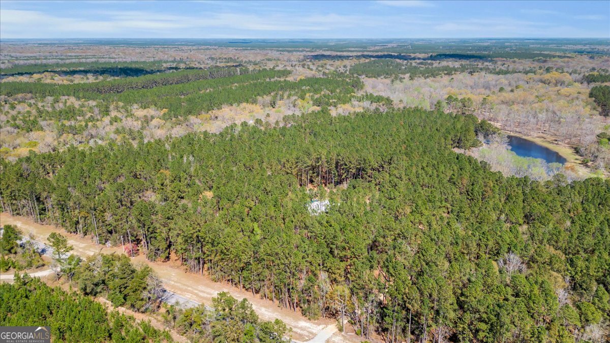 5200 Old River Road Brooklet - Photo 49