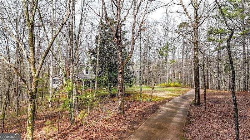 1445 Scott Road Canton - Photo 48