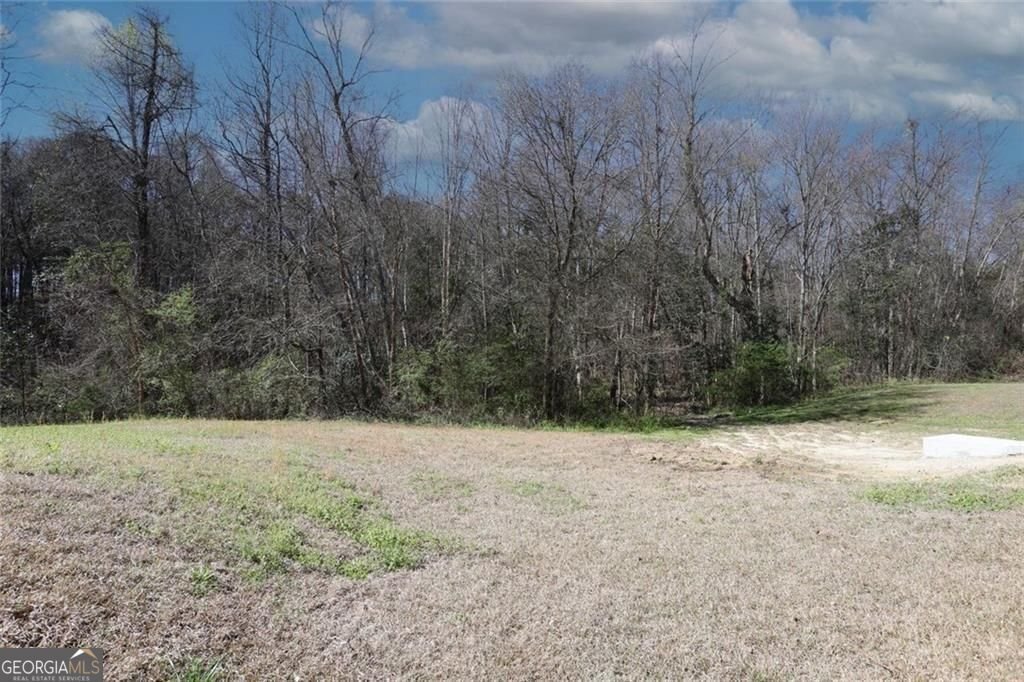 4011 Oak Field Drive Loganville - Photo 53