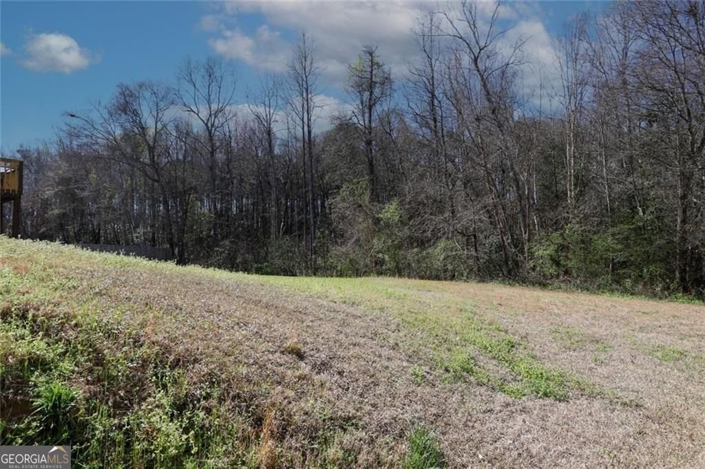 4011 Oak Field Drive Loganville - Photo 54