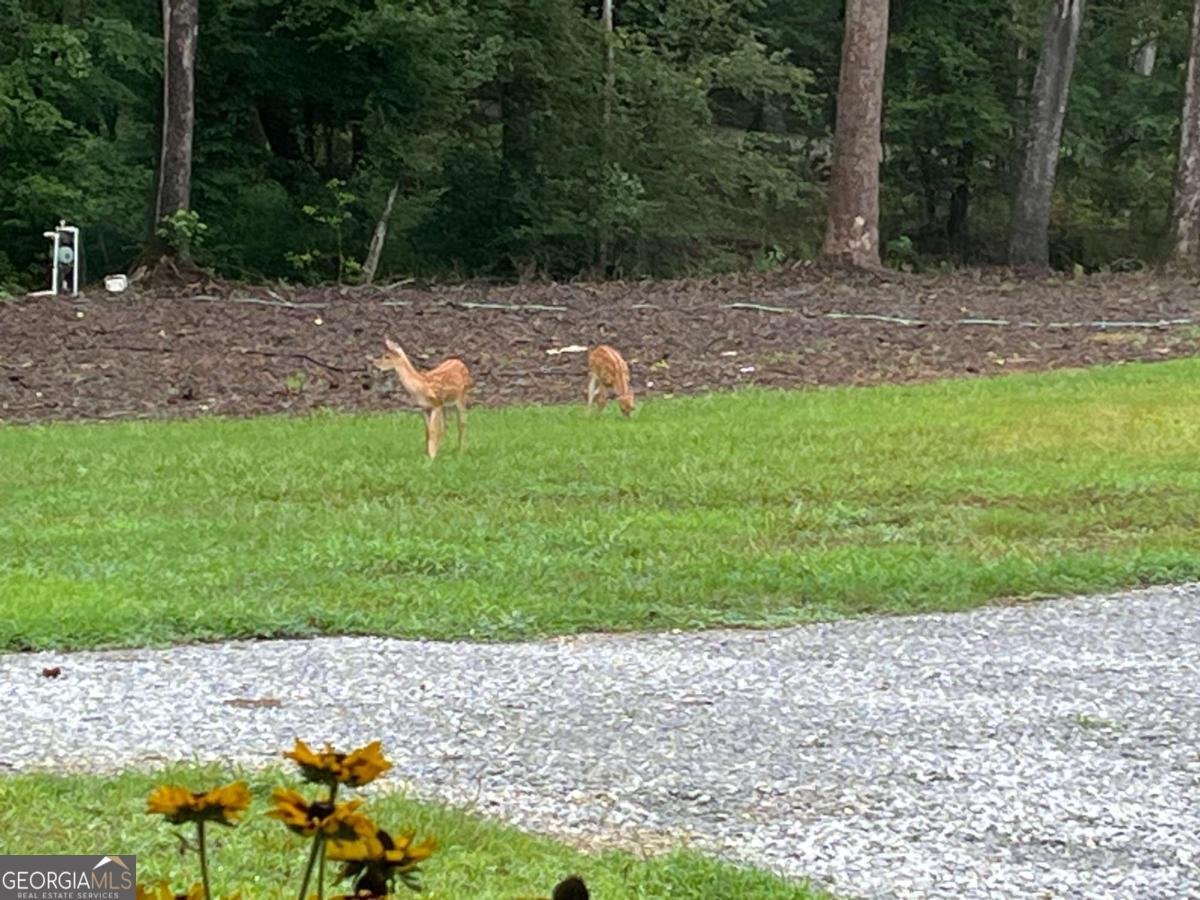 1596 Kirk Langford Road Danielsville - Photo 6