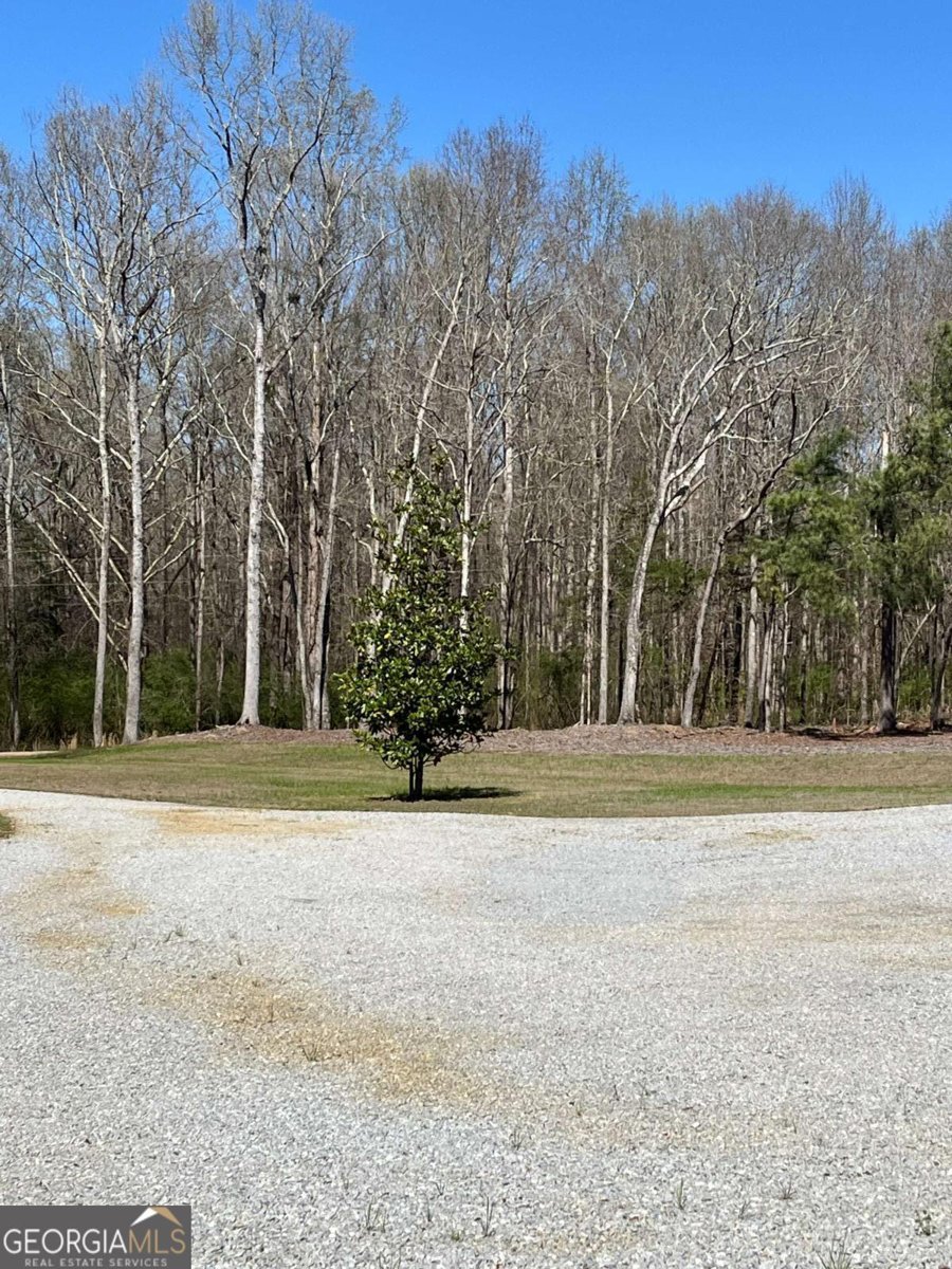 1596 Kirk Langford Road Danielsville - Photo 7