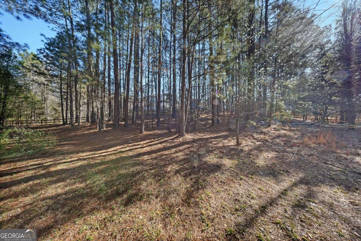 112 Thorncliff Way Acworth - Photo 63