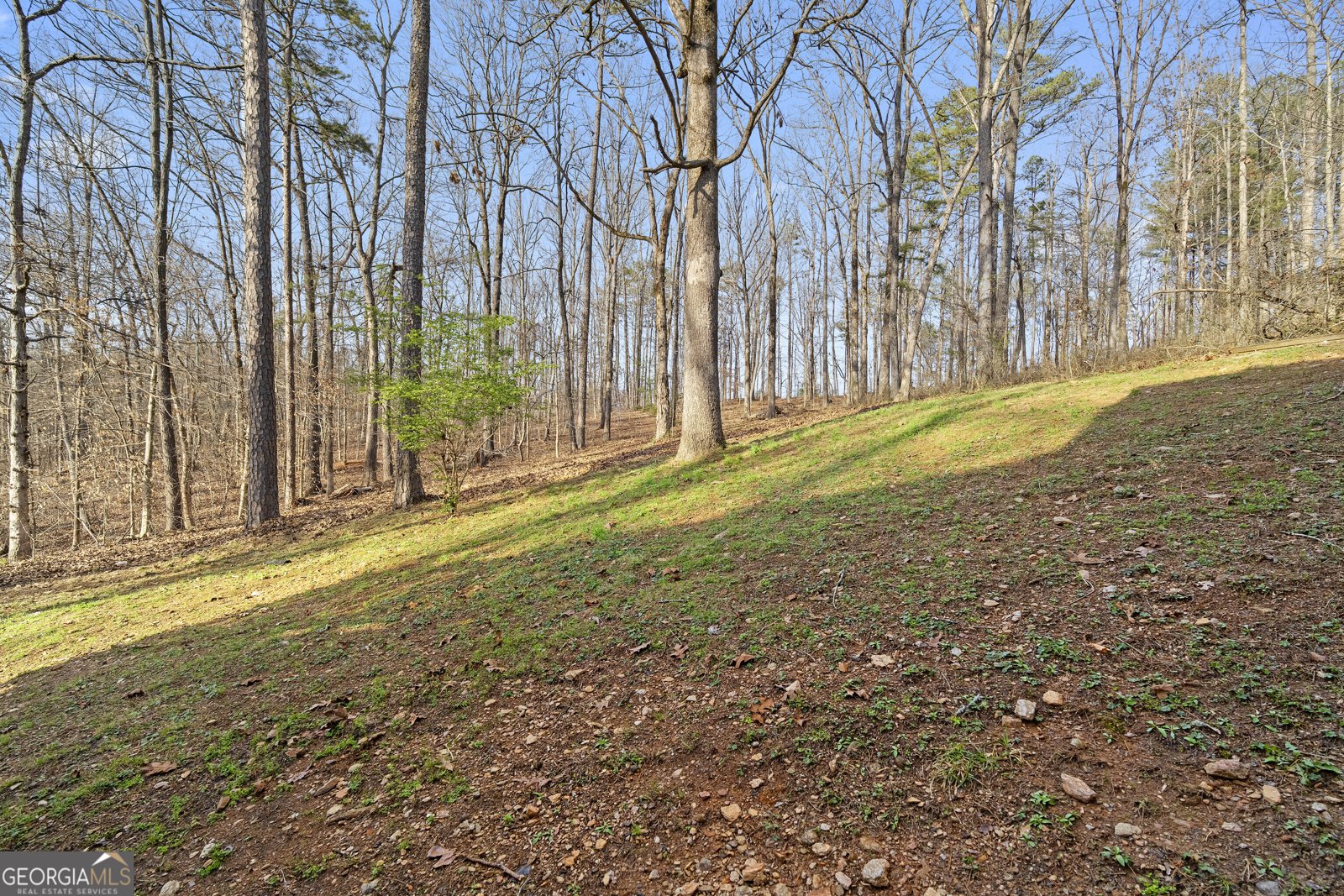 314 Calusa Place Ball Ground - Photo 32