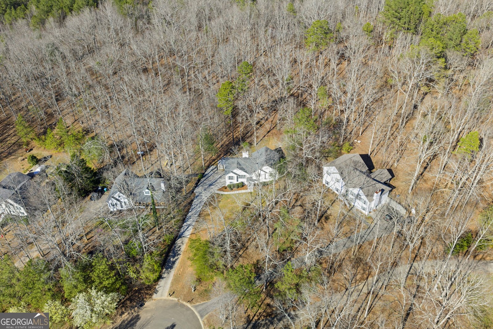 314 Calusa Place Ball Ground - Photo 38