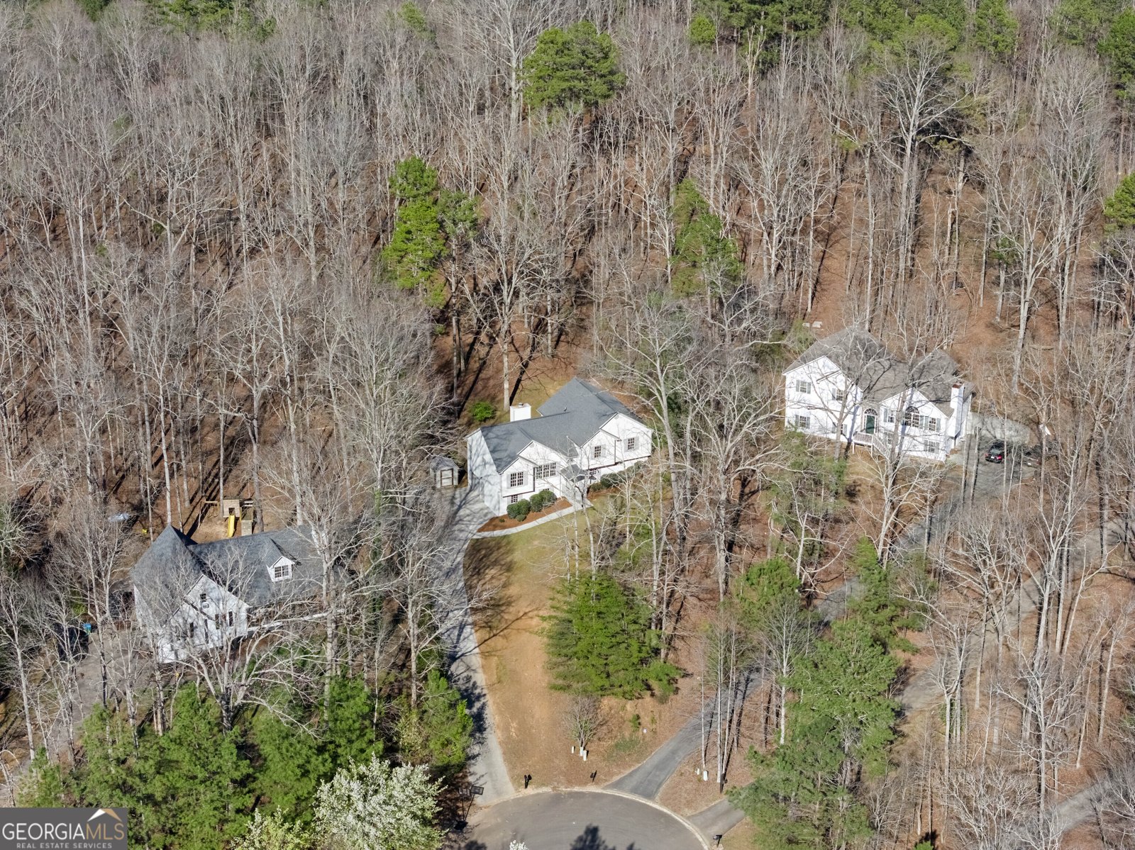 314 Calusa Place Ball Ground - Photo 39